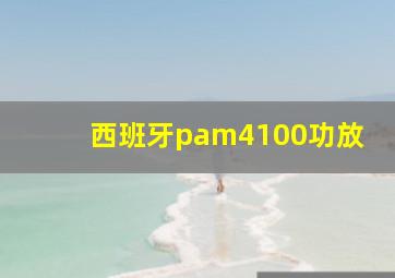 西班牙pam4100功放