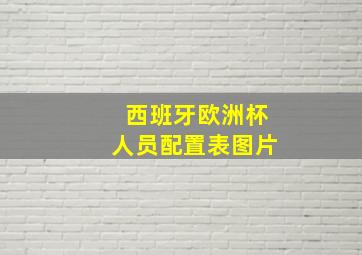 西班牙欧洲杯人员配置表图片