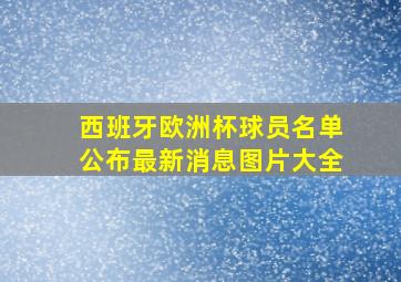 西班牙欧洲杯球员名单公布最新消息图片大全