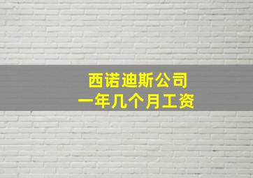 西诺迪斯公司一年几个月工资