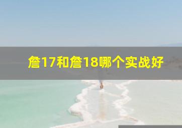 詹17和詹18哪个实战好