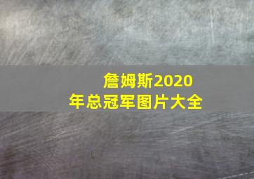 詹姆斯2020年总冠军图片大全