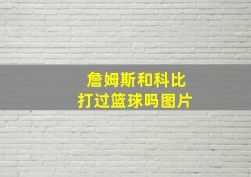 詹姆斯和科比打过篮球吗图片