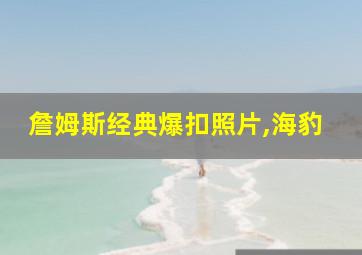 詹姆斯经典爆扣照片,海豹