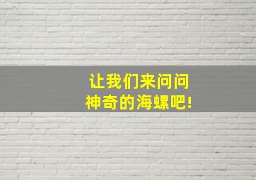 让我们来问问神奇的海螺吧!