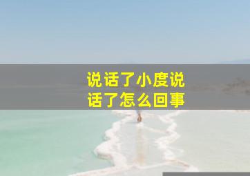 说话了小度说话了怎么回事