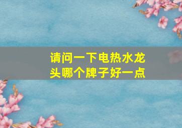 请问一下电热水龙头哪个牌子好一点