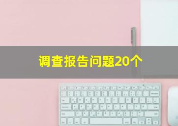 调查报告问题20个