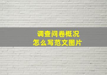 调查问卷概况怎么写范文图片