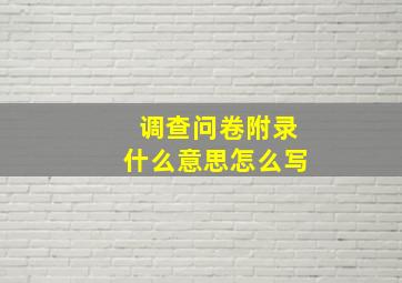 调查问卷附录什么意思怎么写