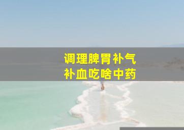 调理脾胃补气补血吃啥中药