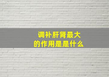 调补肝肾最大的作用是是什么