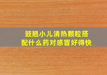 豉翘小儿清热颗粒搭配什么药对感冒好得快