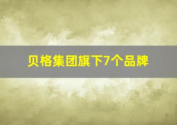 贝格集团旗下7个品牌