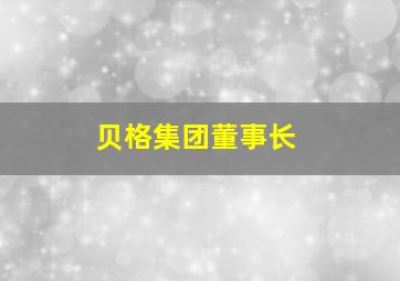 贝格集团董事长