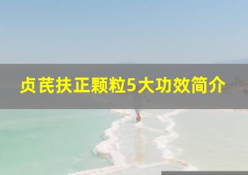 贞芪扶正颗粒5大功效简介