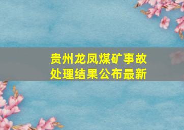 贵州龙凤煤矿事故处理结果公布最新