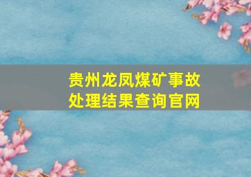 贵州龙凤煤矿事故处理结果查询官网