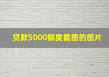 贷款5000额度截图的图片