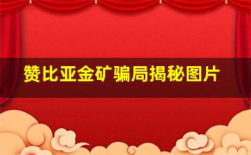 赞比亚金矿骗局揭秘图片