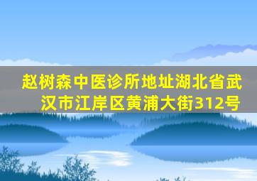 赵树森中医诊所地址湖北省武汉市江岸区黄浦大街312号