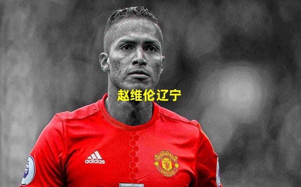 赵维伦辽宁