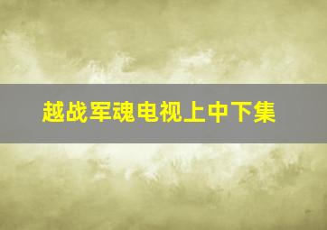 越战军魂电视上中下集