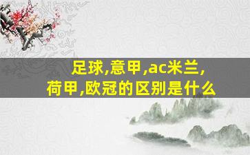 足球,意甲,ac米兰,荷甲,欧冠的区别是什么