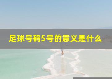 足球号码5号的意义是什么