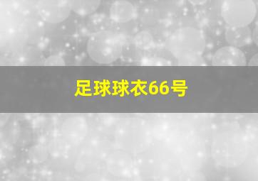 足球球衣66号