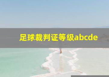 足球裁判证等级abcde