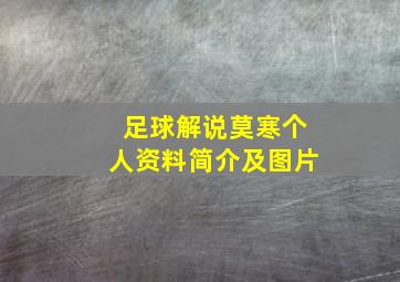 足球解说莫寒个人资料简介及图片