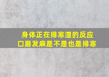 身体正在排寒湿的反应口唇发麻是不是也是排寒