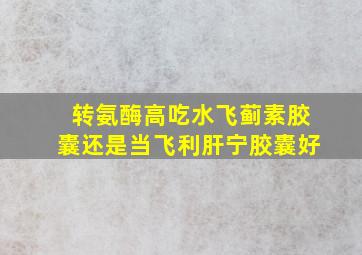 转氨酶高吃水飞蓟素胶囊还是当飞利肝宁胶囊好