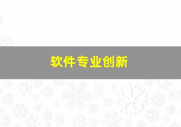 软件专业创新