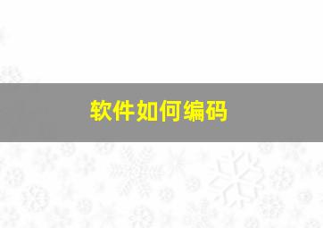 软件如何编码