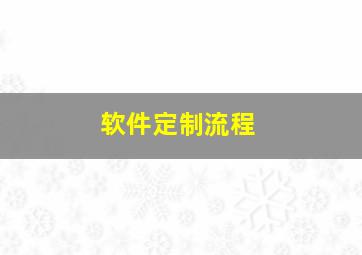 软件定制流程