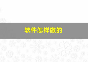 软件怎样做的