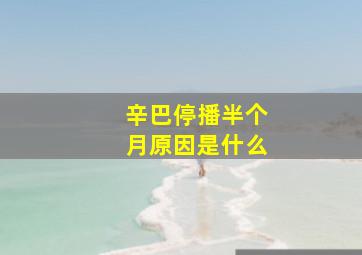 辛巴停播半个月原因是什么