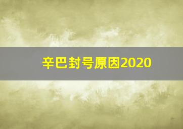 辛巴封号原因2020