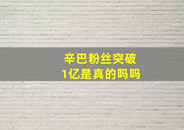 辛巴粉丝突破1亿是真的吗吗