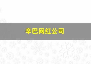 辛巴网红公司