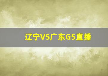 辽宁VS广东G5直播