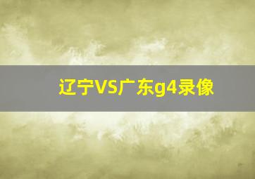 辽宁VS广东g4录像