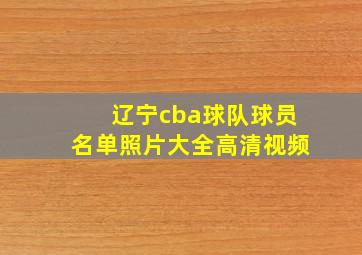 辽宁cba球队球员名单照片大全高清视频