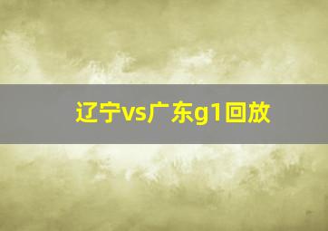 辽宁vs广东g1回放