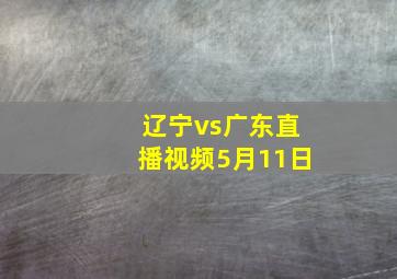 辽宁vs广东直播视频5月11日