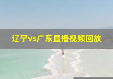 辽宁vs广东直播视频回放