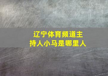 辽宁体育频道主持人小马是哪里人