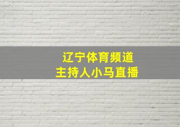 辽宁体育频道主持人小马直播